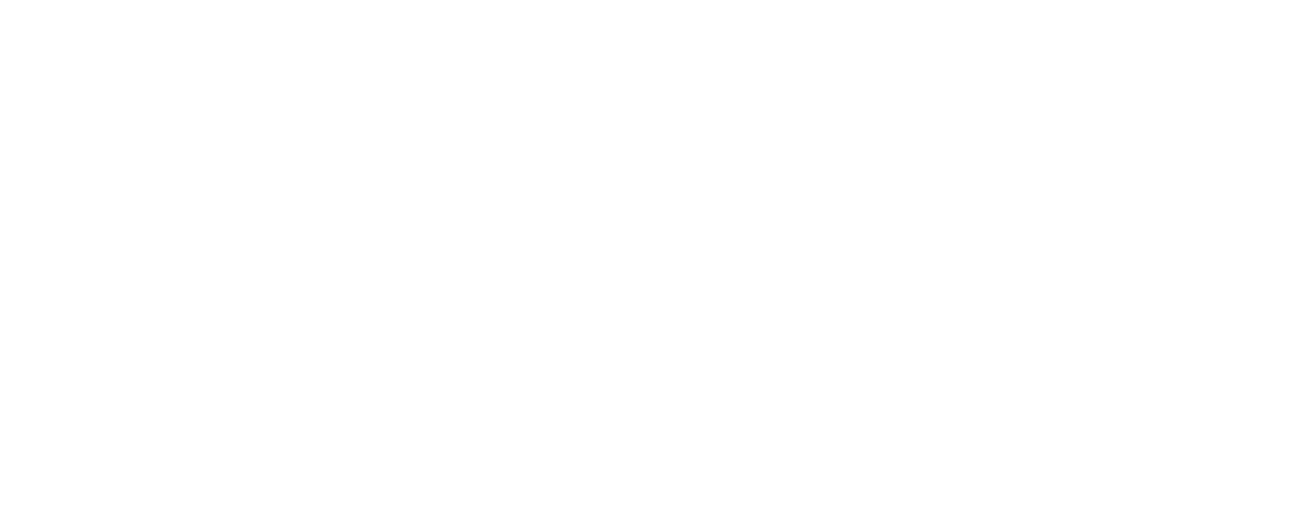 Amani Logo White